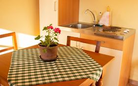 Turisticna Kmetija Vrezner Apartment